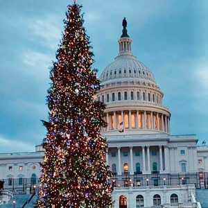 Meet your Posher, Shelly